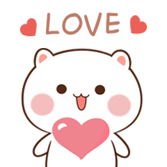Lovely cat1