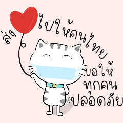 My cat:save thailand2(COVID-19)