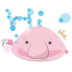 Psychrolutes marcidus(blobfish)