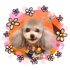 chisa_20201224190219