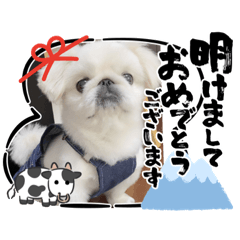 mimi_20201224195450
