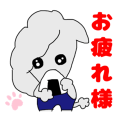 アシメの小太郎2