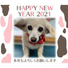 happy new year hana
