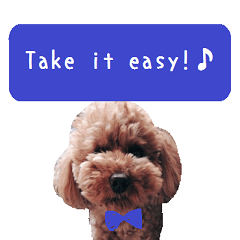 Toy poodle the Muck simple sticker