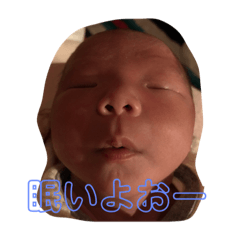 miki_20201224170254