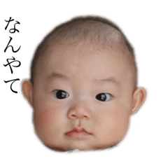 HARUTA'S STICKER NO.1
