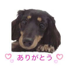 hana_20201224182237