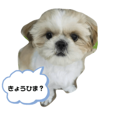 yukari_20201225110225