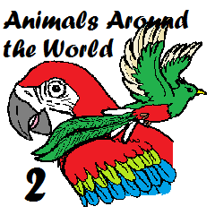 Animals around the World 2