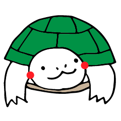 Turtle everyday