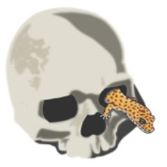 Leopard gecko of kanji