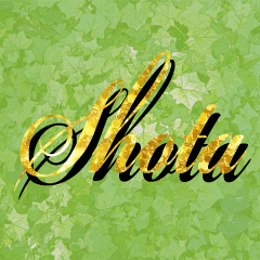 The Shota Gold Sticker