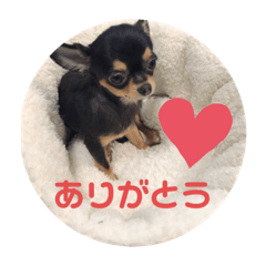 Sally_20201225142107