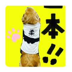 Ayumi_20201225155809