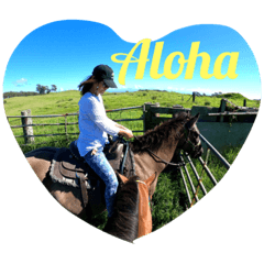 Aloha from Big Island