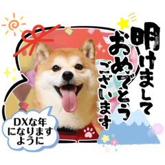 柴犬好きのLINE年賀スタンプ【Mac★DX】