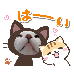 mochi_20201225182150