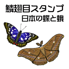 鱗翅目スタンプ〜日本の蝶と蛾〜
