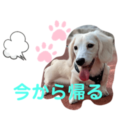 risa_20201226024237