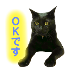 yukari_20201225194850