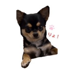 risa_20201225210922