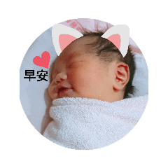 胖胖可愛♡小橘子