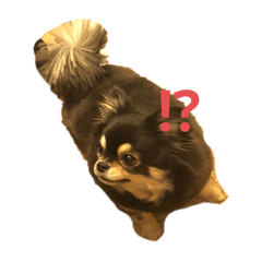 tomomi_20201225235651