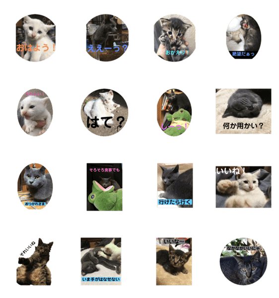 りょうた 猫すたんぷ Lineクリエイターズスタンプ Stamplist りょうた 猫すたんぷ Lineクリエイターズスタンプ Stamplist