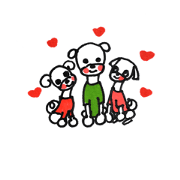 maltese dog maltese dog