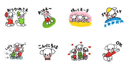 maltese dog maltese dog