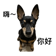 阿力貼圖1.0