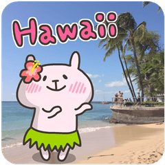 USA chim HAWAII