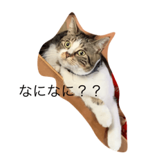 nozomi_20201226134335