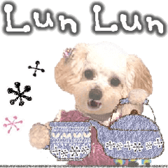 toy poodle "LUNLUN"-movie- English 4