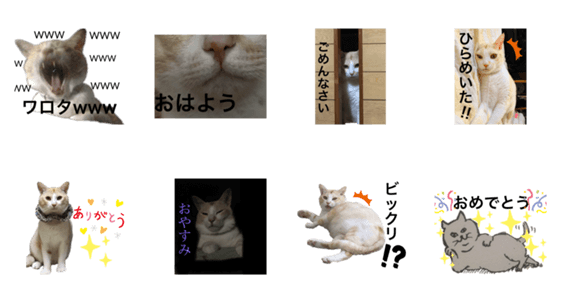 猫やってます Lineクリエイターズスタンプ Stamplist