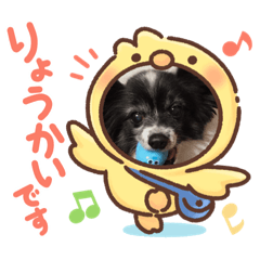 yuka_20201226151057
