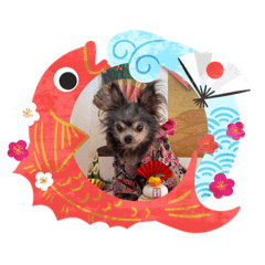 yukari_20201226160057