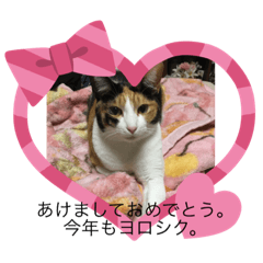 neko_20201226165035