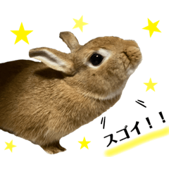 MAPLE_20201226192152