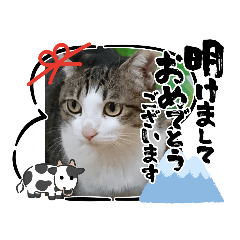 akiko_20201226193719