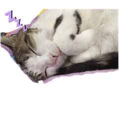 ayumi_20201226201356