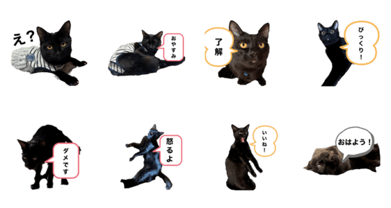 黒猫にゃーちゃんのスタンプ Lineクリエイターズスタンプ Stamplist