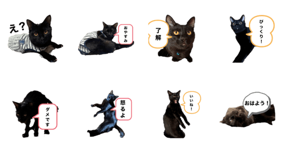 黒猫にゃーちゃんのスタンプ Lineクリエイターズスタンプ Stamplist