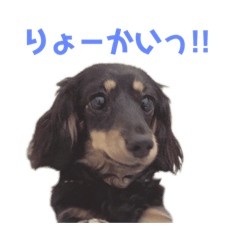 hana_20201226233148
