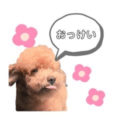 asuka_20201227011140