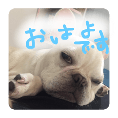 wasabi_20201227041756