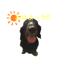 nanana_20201227045241