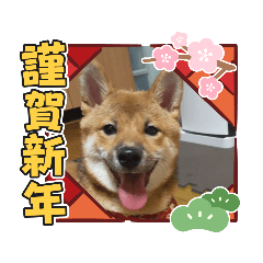 saori_20201227082513