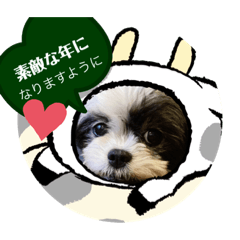 chiitan_20201227083535