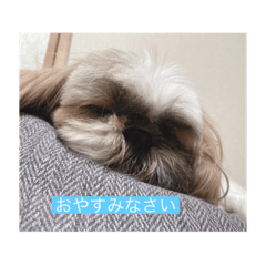 HANA_20201226183750